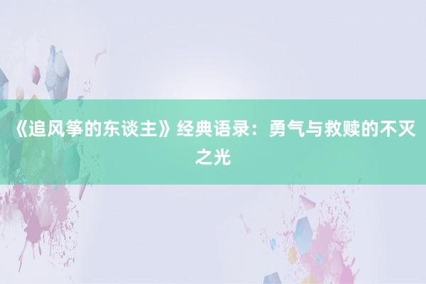 《追风筝的东谈主》经典语录：勇气与救赎的不灭之光
